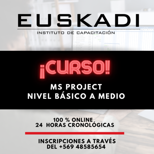 MS PROJECT, NIVEL BÁSICO A MEDIO